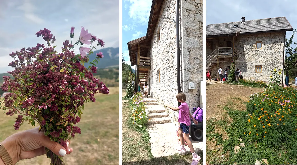 Back in Ledići: Children from Tuzla return after three months