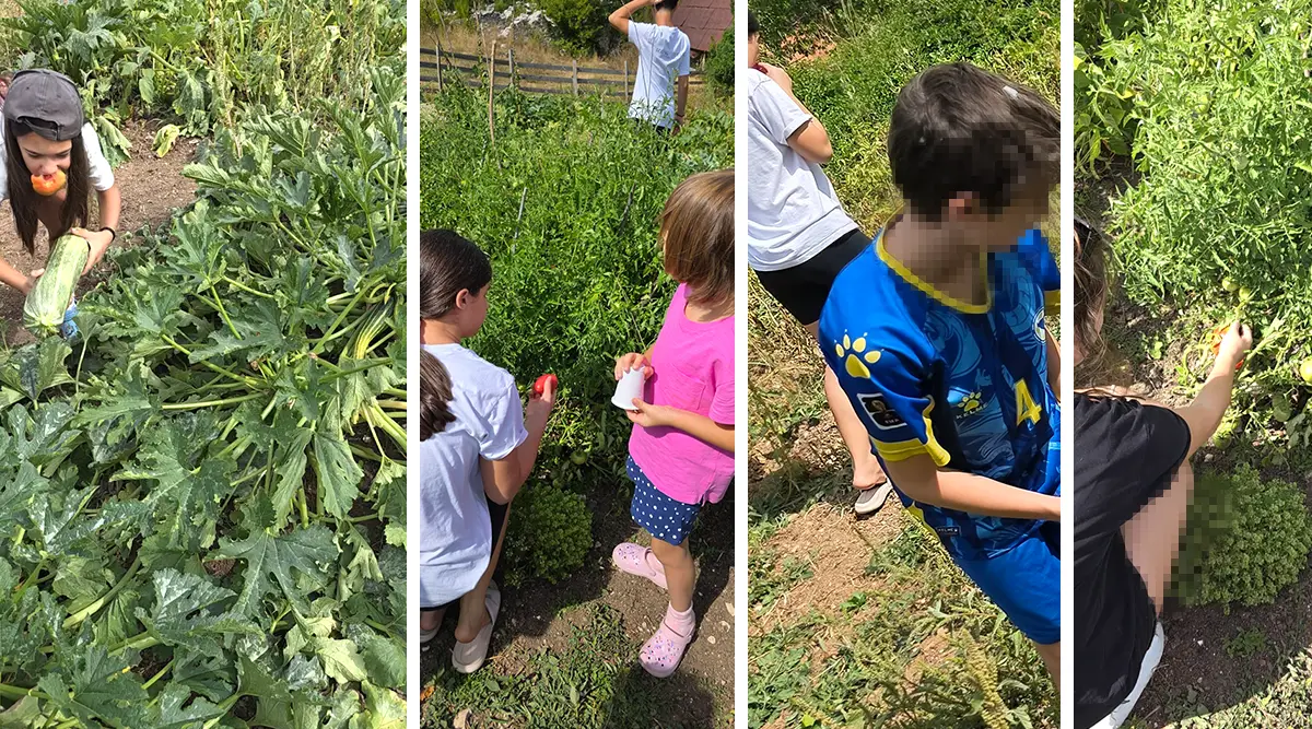 Children picking fresh fruit and vegetables at the Foundation Second Small Family Home in Ledici