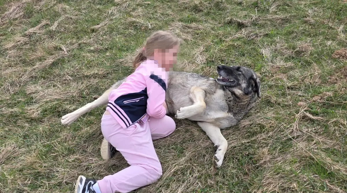Bona, the affectionate dog who will no longer be there to welcome our children