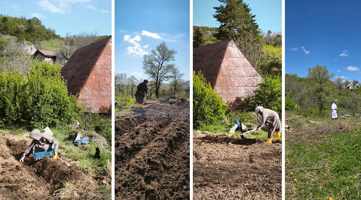 Small family home Ledici potato planting agriculture organic Second Foundation 01