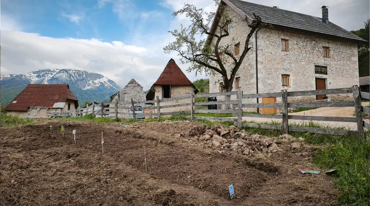 Mali porodicni dom Ledici sijanje poljoprivreda organska fondacija second 01