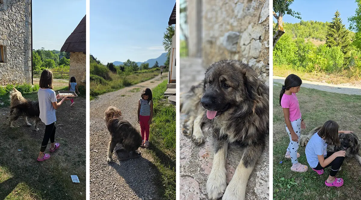 Last weekend summer holidays Small Family Home Ledici Home for Children without Parental Care Sarajevo Foundation Second 06
