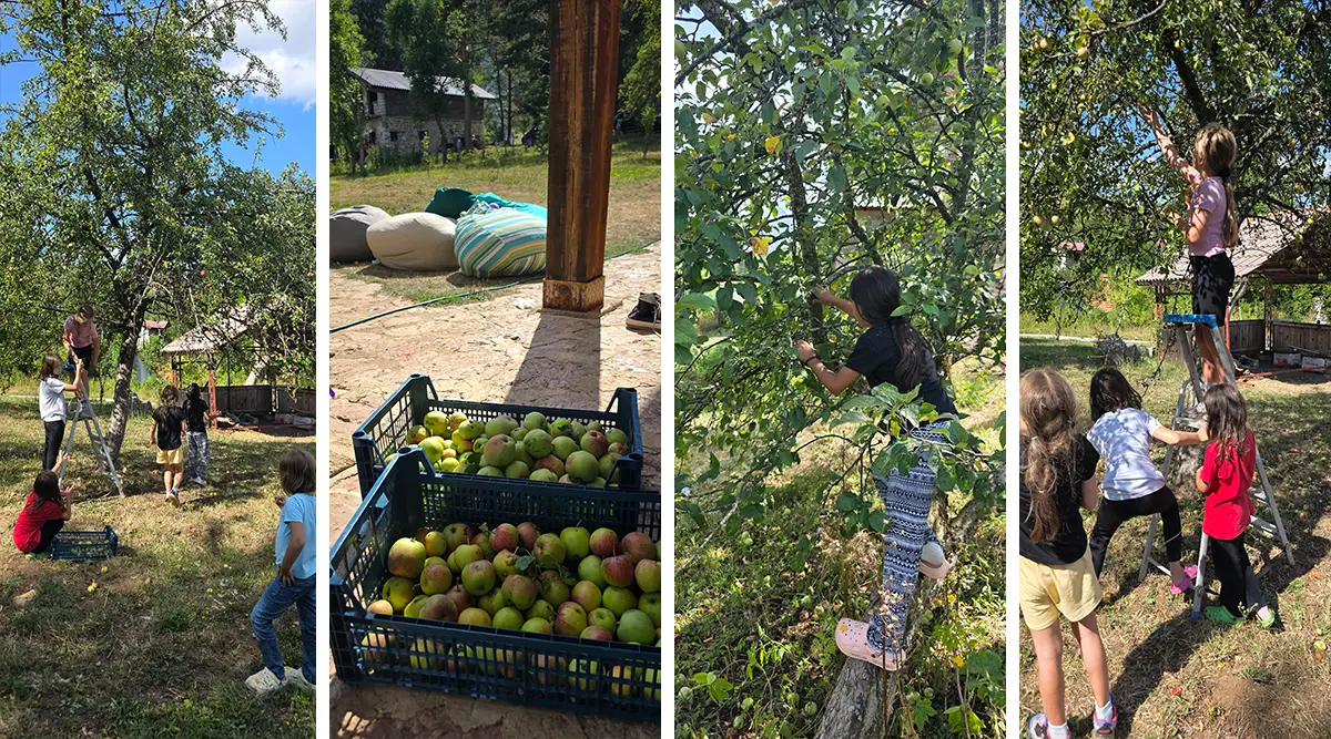 Last weekend summer holidays Small Family Home Ledici Home for Children without Parental Care Sarajevo Foundation Second 11