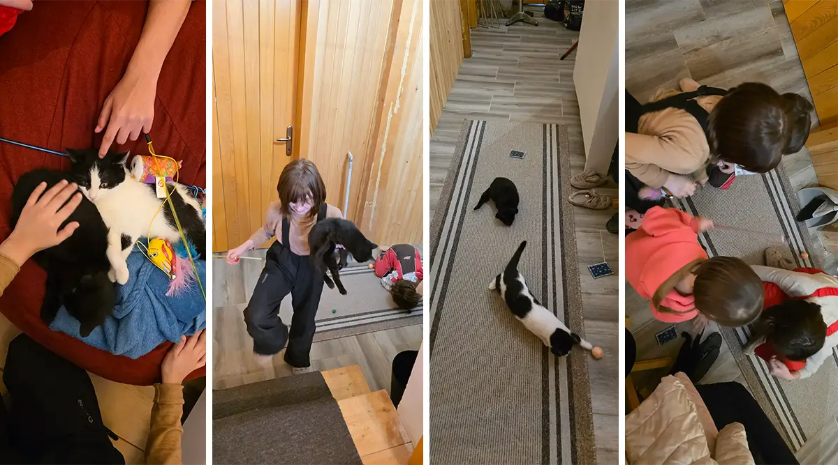 children with developmental difficulties small family home for children without parental care foundation second 15