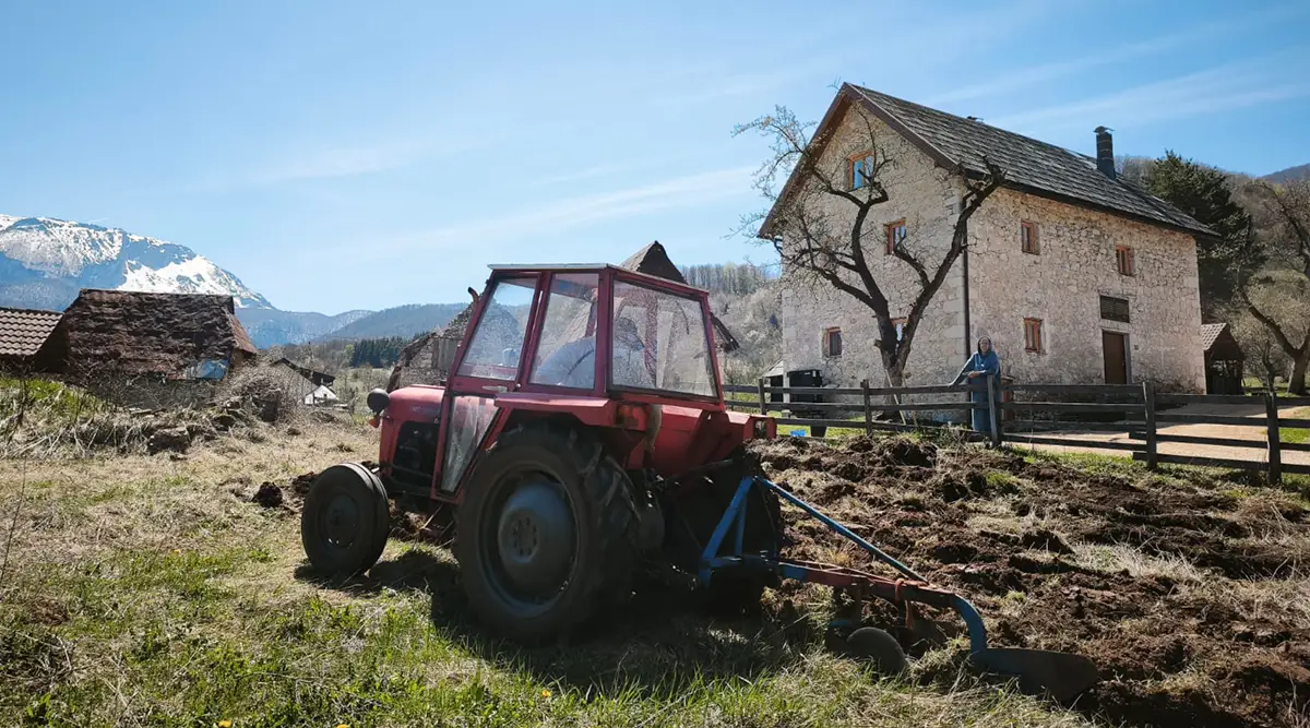 small family home ledici land plot cultivation plowing planting vegetables fruits second foundation 03