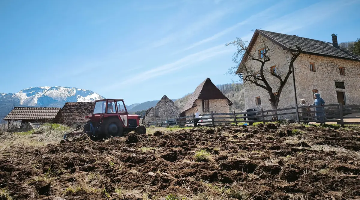 small family home ledici land plot cultivation plowing planting vegetables fruits second foundation 04