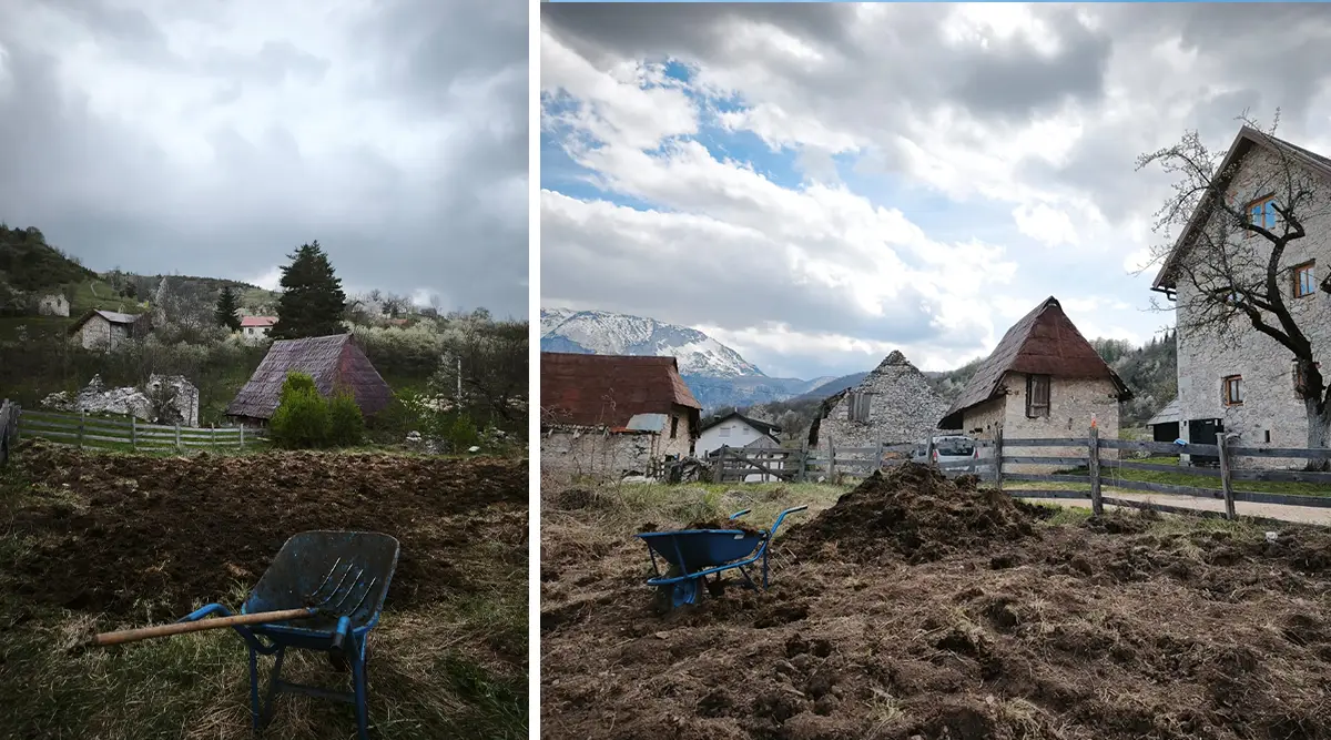 small family home ledici land plot cultivation plowing planting vegetables fruits second foundation 05