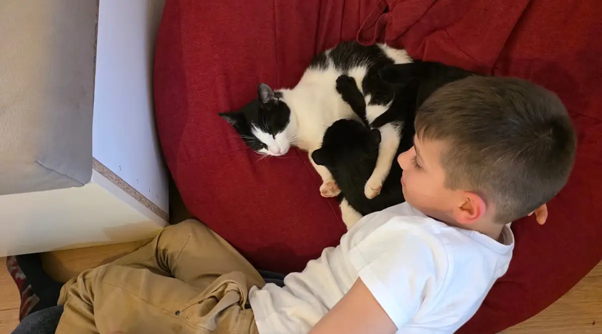 porodica u riziku mali porodicni dom u ledicima fondacija second 05