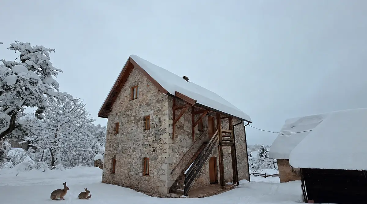 Even rabbits find peace in the Small Family Home in Ledići