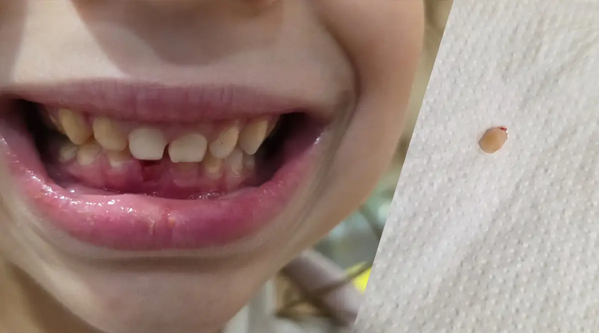 small family home ledici children without parental care ramadan weekend second foundation 00