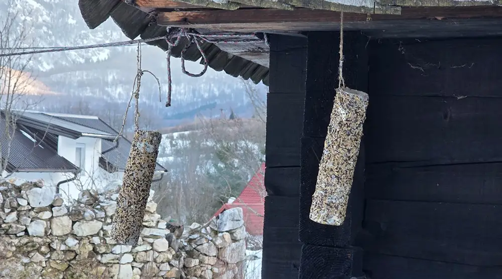 Ledici food for magpies birds workshop Foundation Second 01