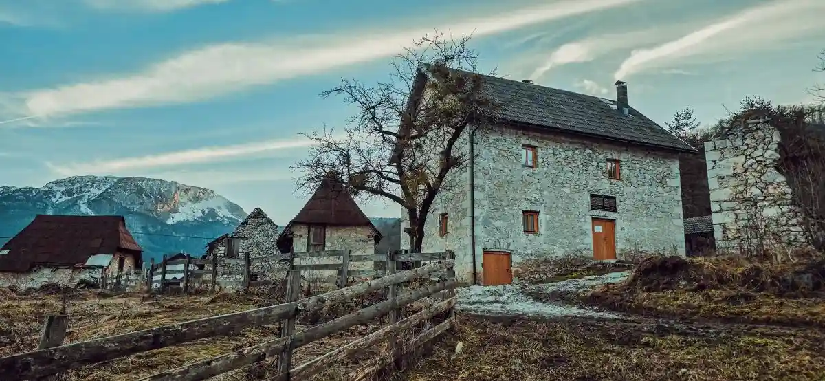 Ledici second foundation