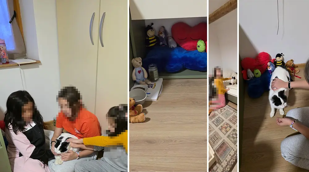 Mini Cat Haven Ledići Second Foundation 05