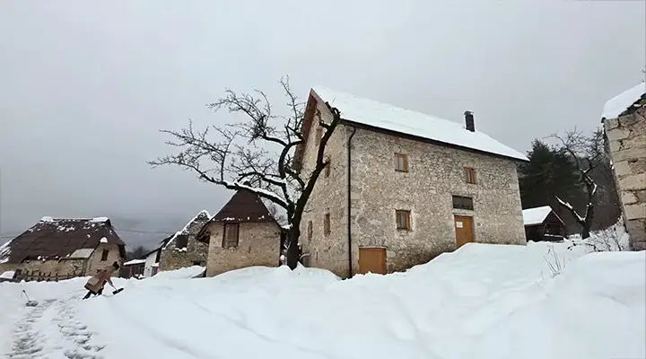 Mini Cat Haven in Ledići – current status and call for support – Second Foundation 01