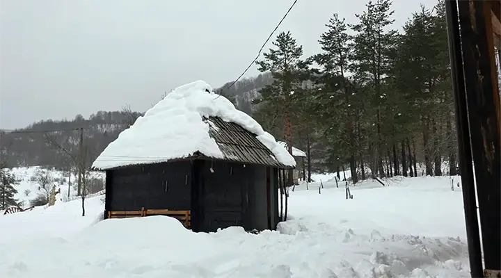 Mini Cat Haven in Ledići – current status and call for support – Second Foundation 02