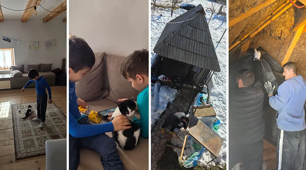 Progress of works on the Mini Cat Shelter in Ledici Foundation Second 03