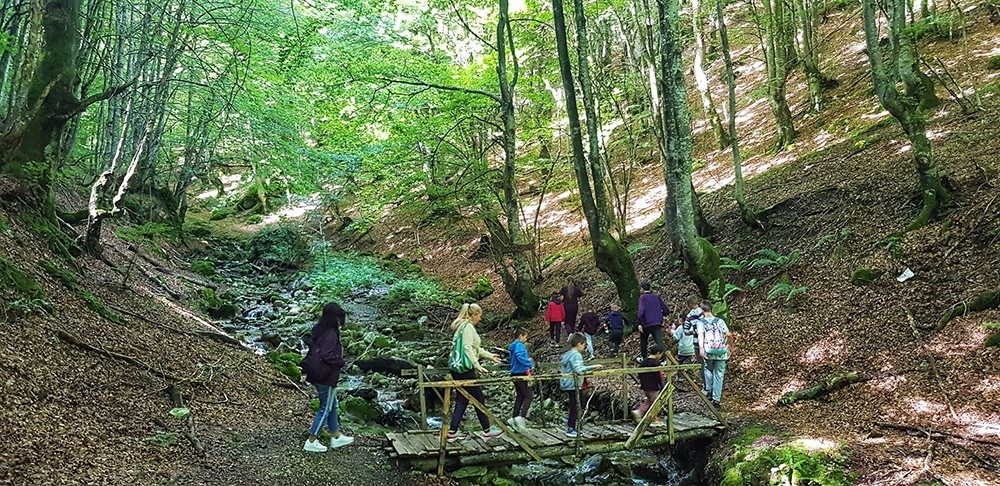 Exploring the Beauty of Mt. Bjelašnica: Children from Home for Orphans Discover the Wonders