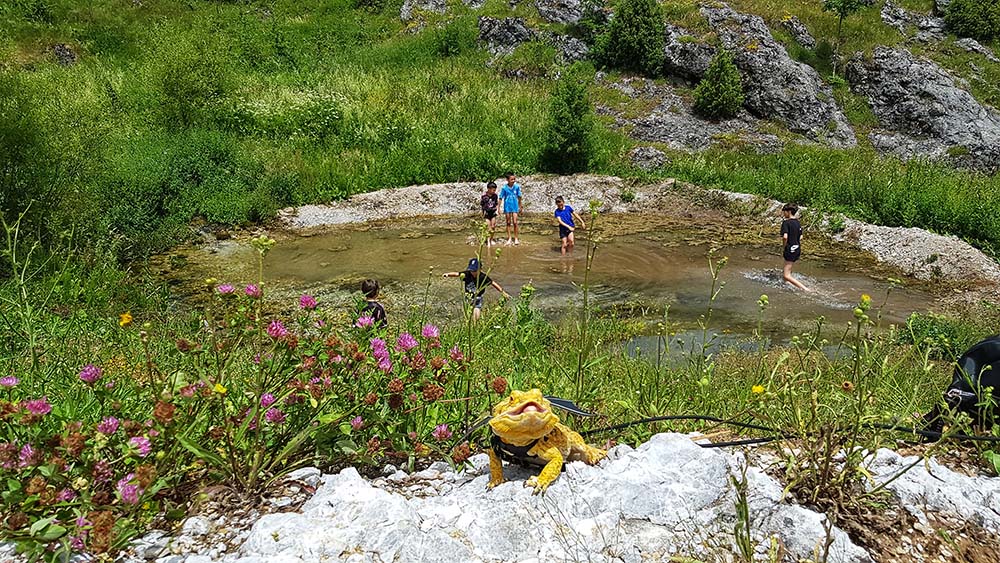 Recovery as a mountain adventure: Children from the Orphanage explore the world of animals