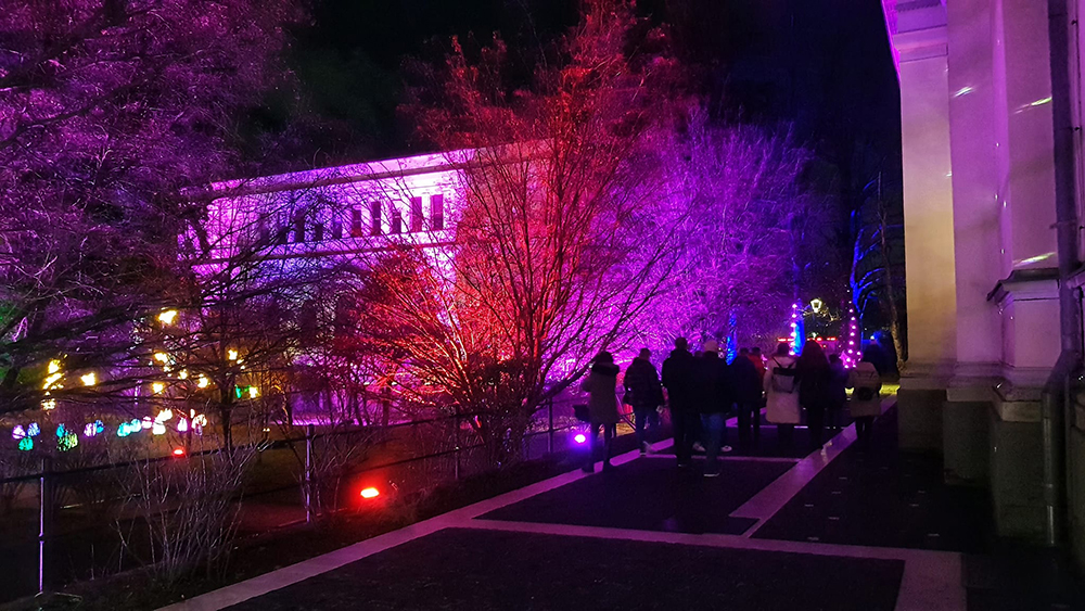 Like A Fairytale: Adult residents of 'Pazarić' Institution share enchanting experience at Light Festival