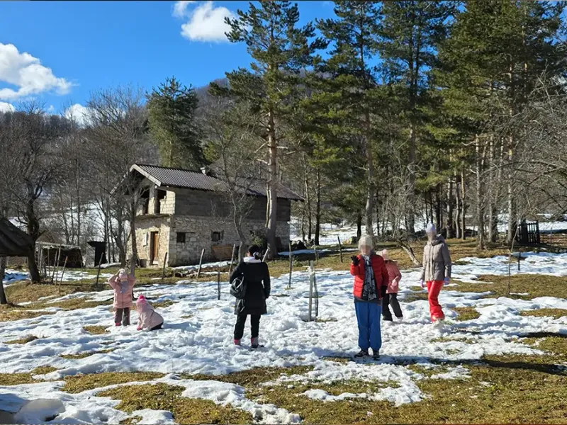 djeca sa teskocama u razvoju mali porodicni dom za djecu bez roditeljskog staranja fondacija second