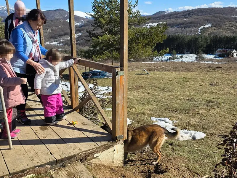 djeca sa teskocama u razvoju mali porodicni dom za djecu bez roditeljskog staranja fondacija second