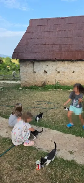 kids ledici august fondacija second