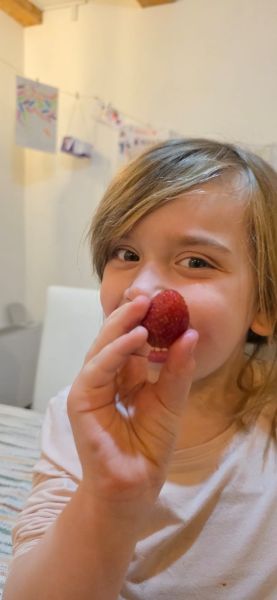 mali porodicni dom ledici djeca bez roditeljskog staranja ramazanski vikend fondacija second