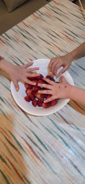 mali porodicni dom ledici djeca bez roditeljskog staranja ramazanski vikend fondacija second