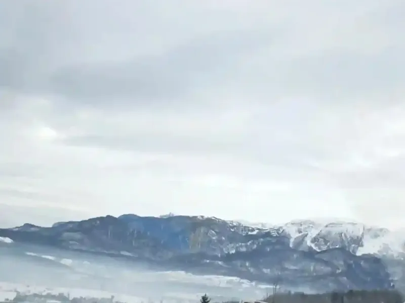 mali porodicni dom sokolovic kolonija u ledicima fondacija second