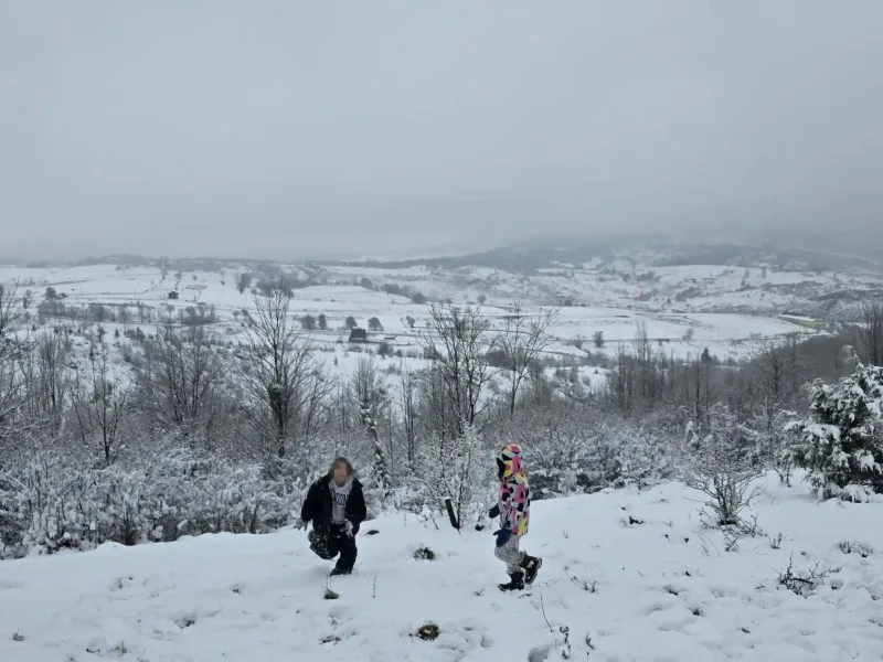 kids ledici winter foundation second