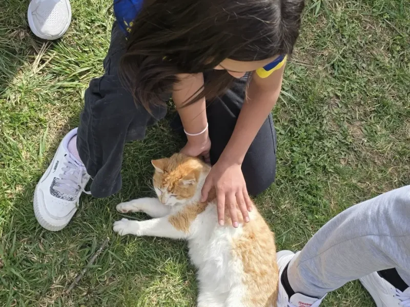 dom za djecu bez roditeljskog staranja tuzla mali porodicni dom ledici fondacija second  